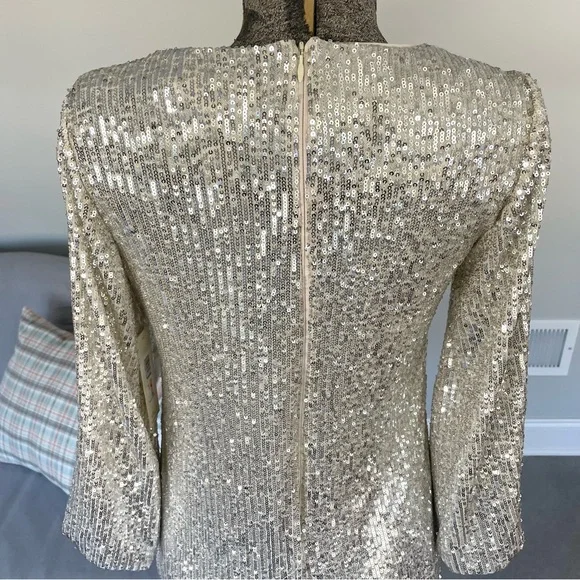 NWT Silver, and cream, Eliza J, double layered sequence dress - Picture 7 of 13